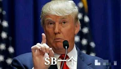 美国大选表情包