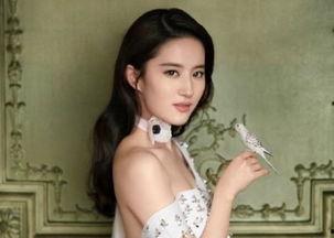 娱乐圈的本名,娱乐圈明星的真实身份揭秘