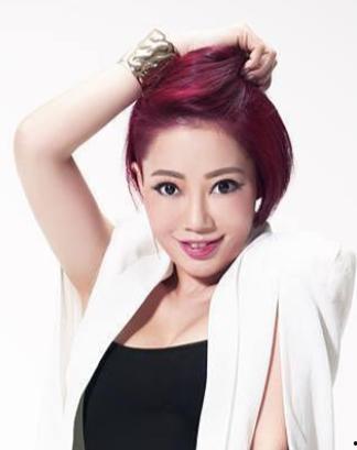 香港演员陈,香港影视界的璀璨星辰