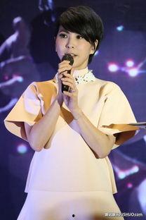 许茹芸八卦,娱乐圈的甜蜜与苦涩