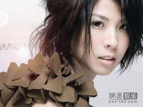 许茹芸八卦,娱乐圈的甜蜜与苦涩