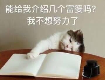 奋斗坚持的表情包